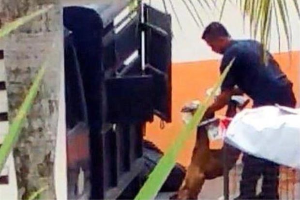 Caught on video: A man, believed to be a council enforcement officer, putting the carcass of a stray dog into a plastic bag after the dog was put down at a warehouse in Jalan Makmur, Skudai.