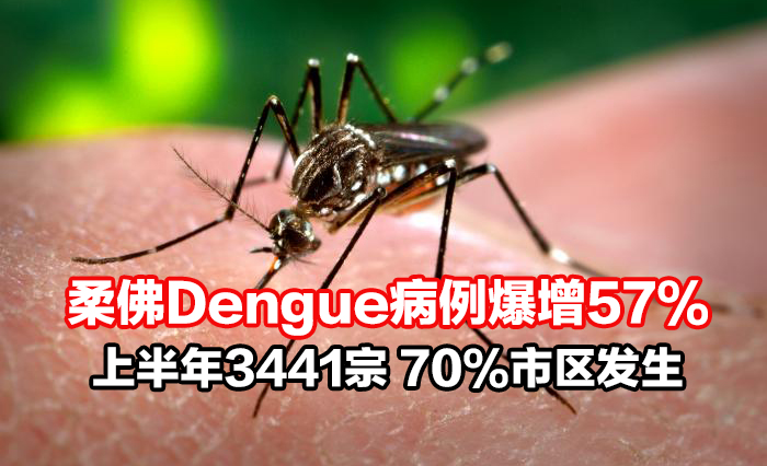 dengue01