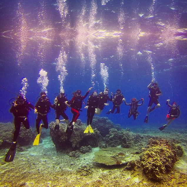 Pulau Dayang 1