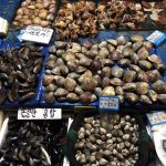 12552615_10207325858318695_8865306583509556853_n