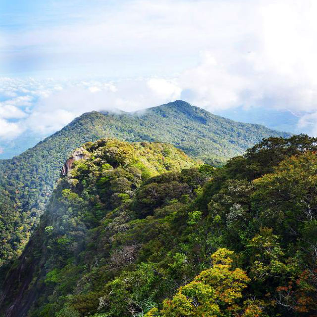 ledang peak