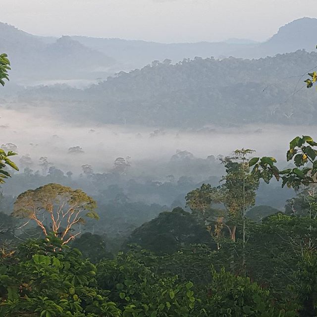 danum valley2