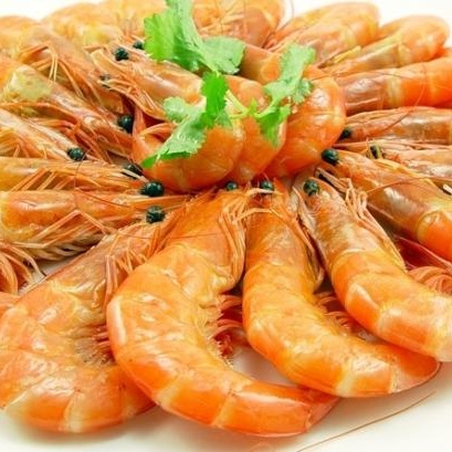 prawn