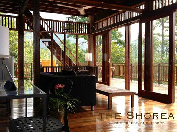 the-shorea