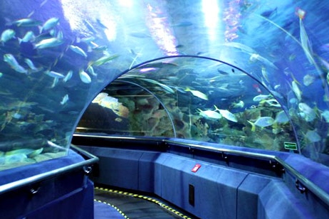 aquaria-klcc-1