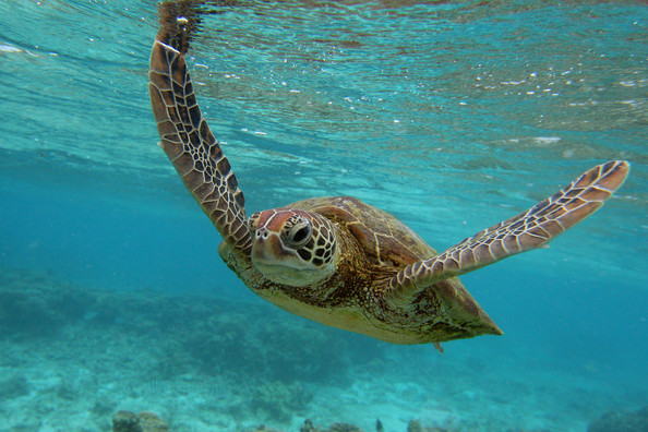 labuan-marine-park_3