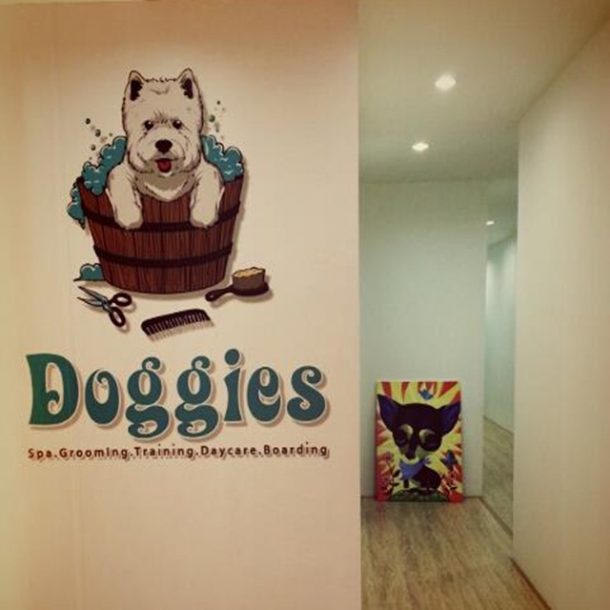 5 Best Pet Shop In Johor Bahru DISCOVER JB // 盡在新山 新山美食 新山最新资讯