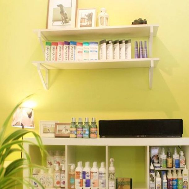 5 Best Pet Shop In Johor Bahru DISCOVER JB // 盡在新山 新山美食 新山最新资讯