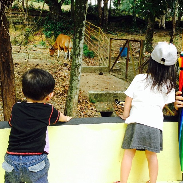 zoo3 zoo3