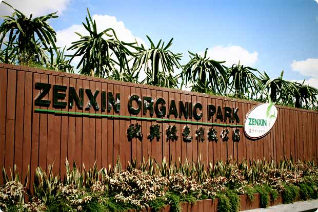 Zenxin-Organic-Park_04