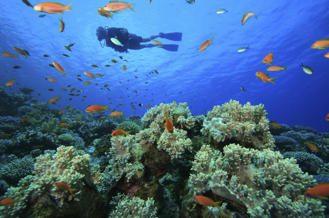 padi-scuba-diving-in-tunku-abdul-rahman-marine-park-from-kota-kinabalu-in-sabah-182243