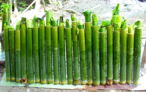 Highlight 4 : Bamboo Rice 