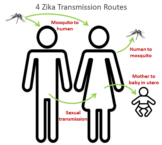 zika-1